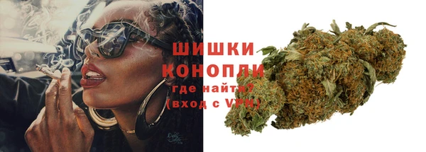мдпв Гусев