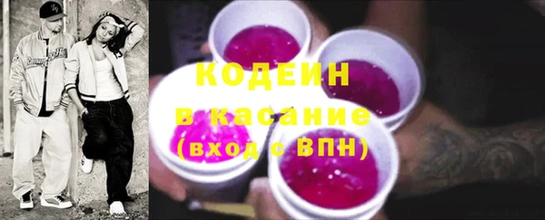 мдпв Гусев