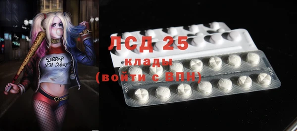 мдпв Горнозаводск