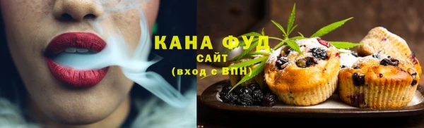 мдпв Горнозаводск