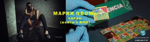 мдпв Горнозаводск