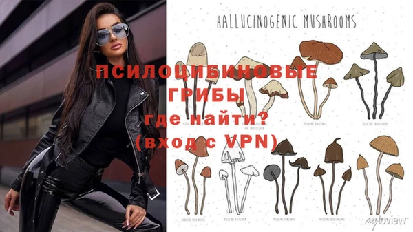 мдпв Горнозаводск