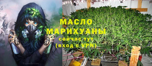 мдпв Гусев