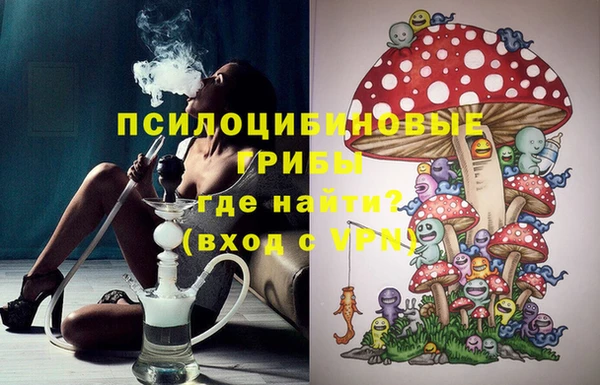 мдпв Горнозаводск