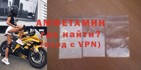 мдпв Гусев